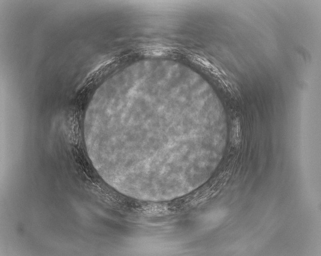 X0000115341446200911301538