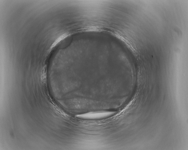 X0000115341450200911301538