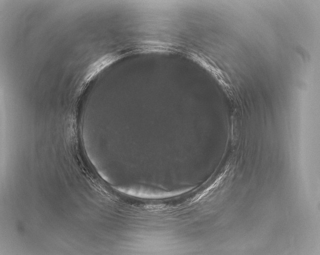 X0000115341453200911301538