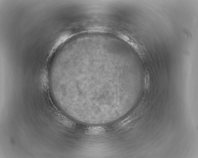 X0000115341454200911301538