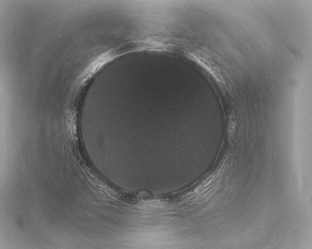 X0000115341455200911301538