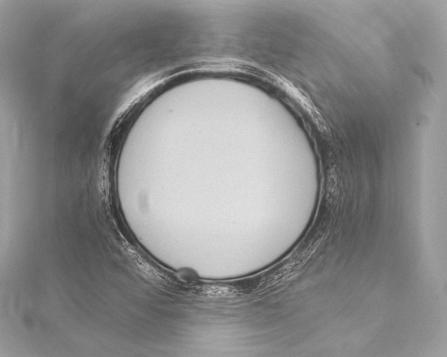 X0000115341456200911301538