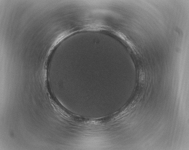 X0000115341459200911301538