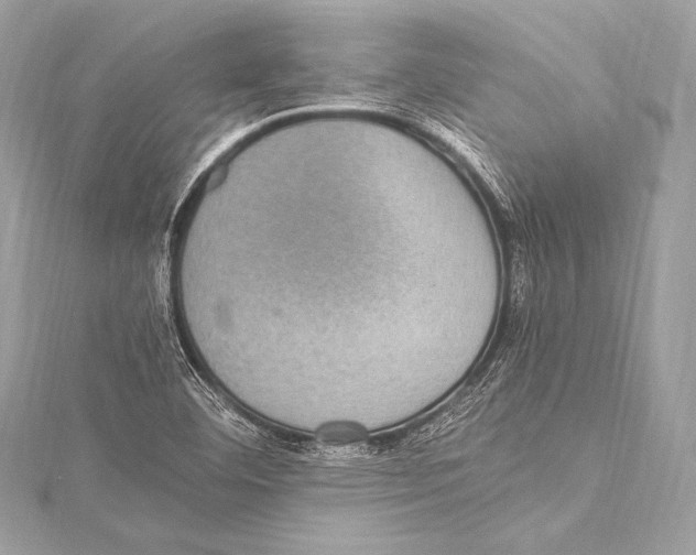 X0000115341460200911301538