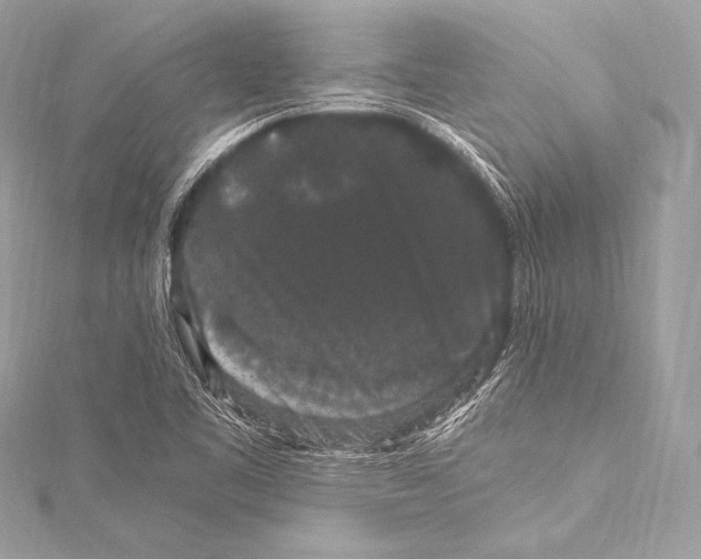 X0000115341461200911301538