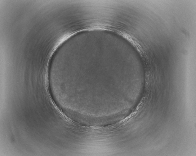 X0000115341469200911301537