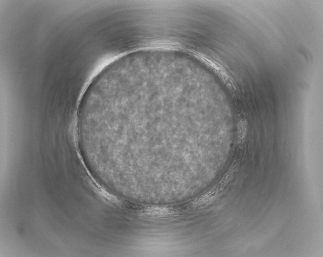 X0000115341470200911301537