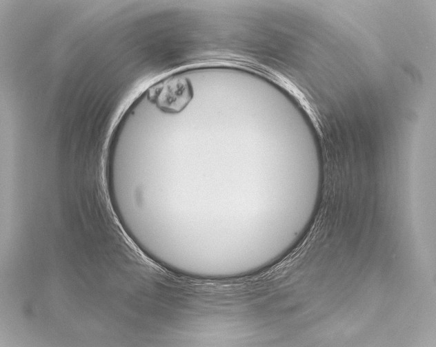 X0000115341472200911301537