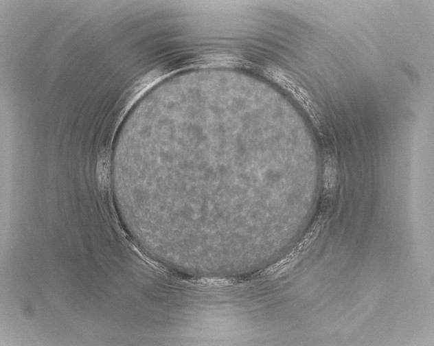 X0000115341473200911301537