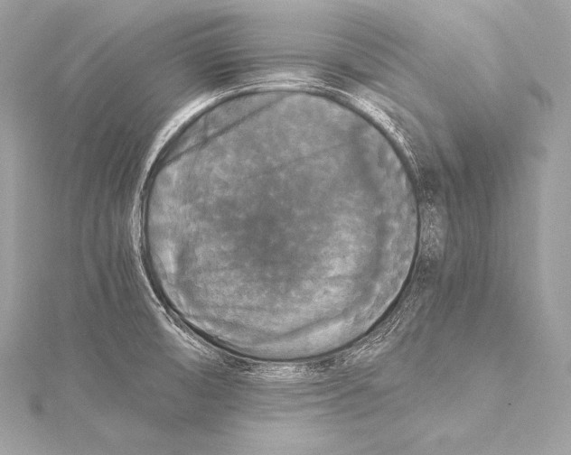 X0000115341474200911301537