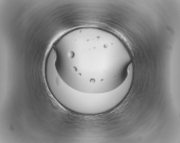 X0000115341480200911301537