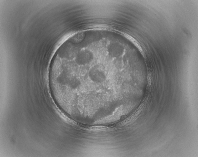 X0000115341482200911301537