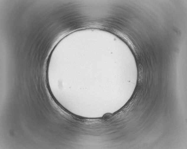 X0000115341483200911301537