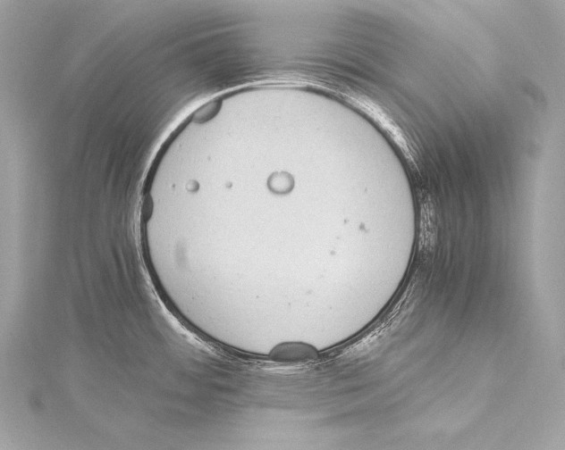 X0000115341484200911301537