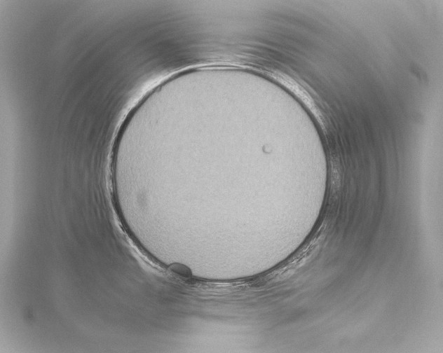 X0000115341485200911301537