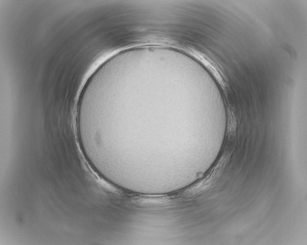 X0000115341486200911301537