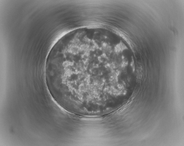 X0000115341487200911301537