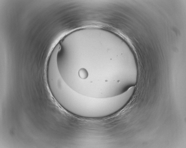 X0000115341488200911301537