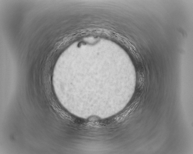 X0000115341489200911301537