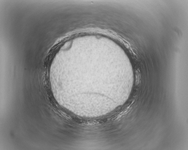 X0000115341494200911301537