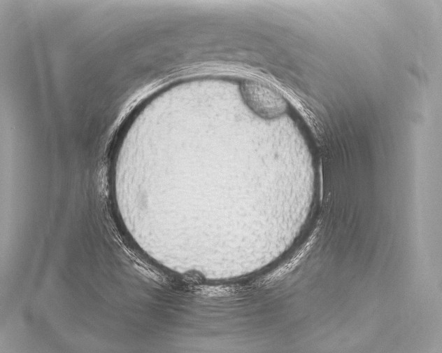 X0000115341501200911301537