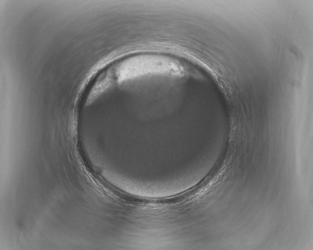 X0000115341506200911301537