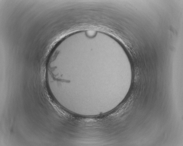 X0000115341507200911301537