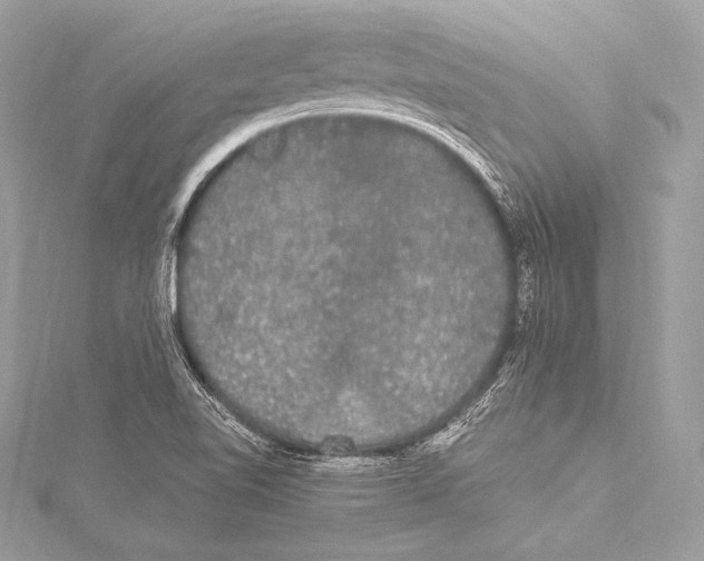 X0000115341510200911301537