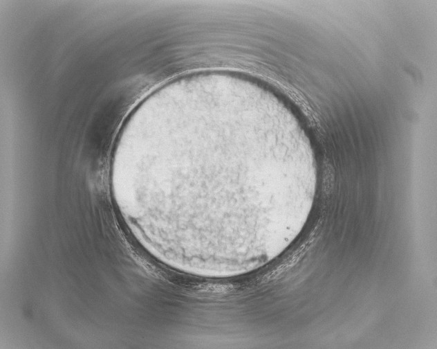 X0000115341513200911301537