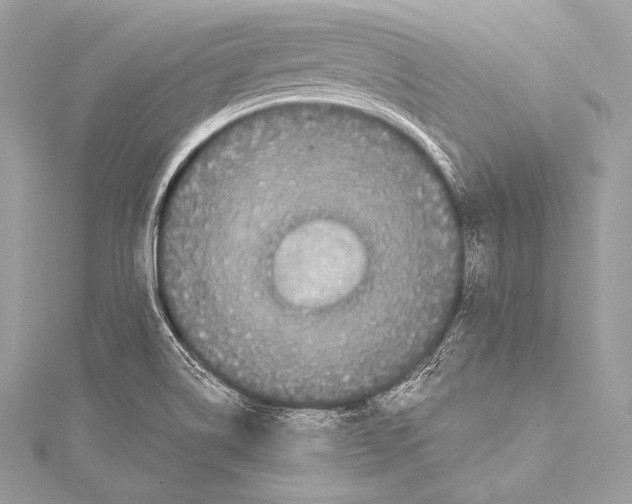 X0000115341514200911301537