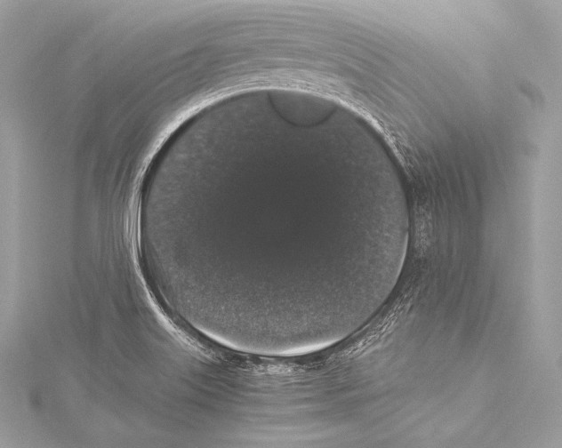 X0000115341515200911301537