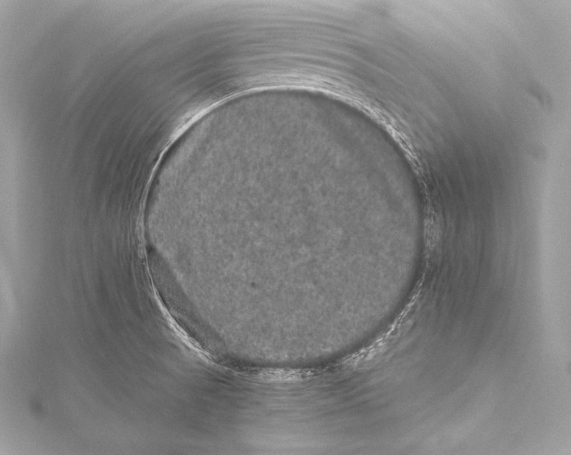 X0000115341521200911301537