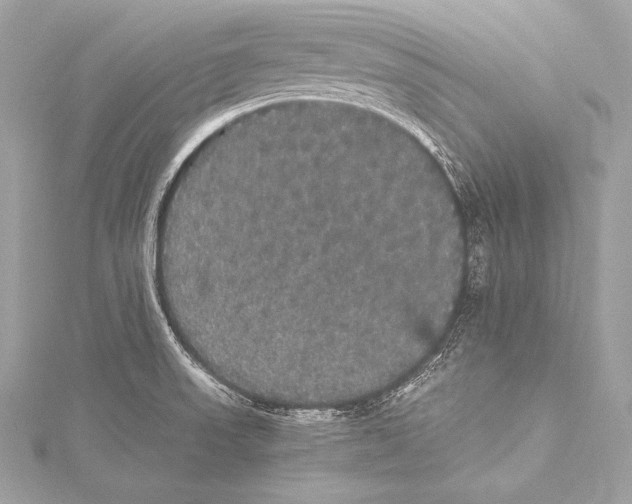 X0000115341523200911301537