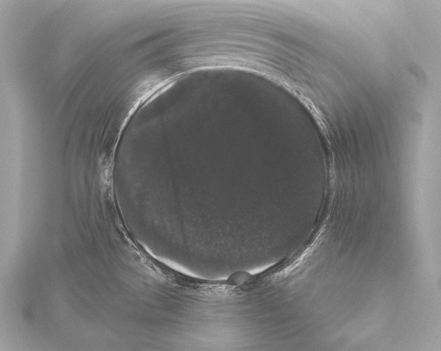 X0000115341529200911301537