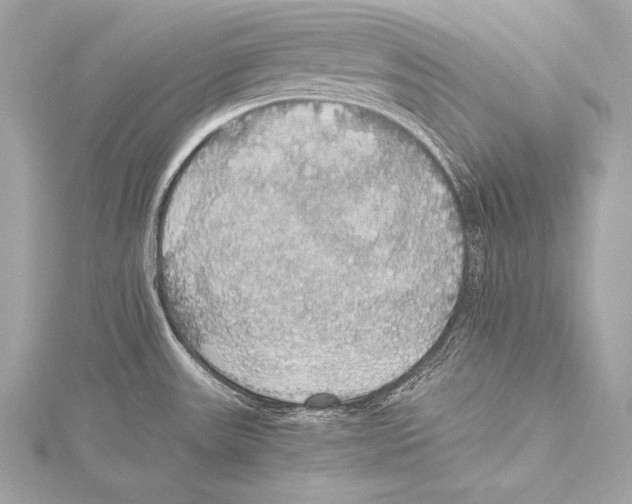 X0000115341531200911301537