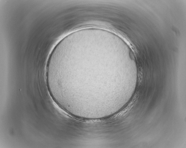 X0000115341535200911301537