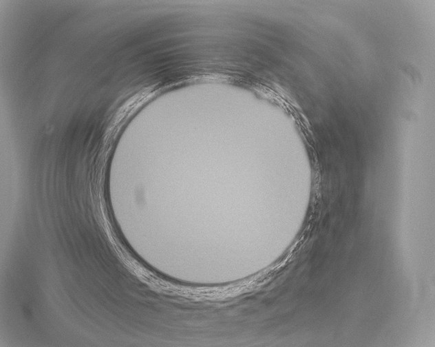 X0000115340001200912141249