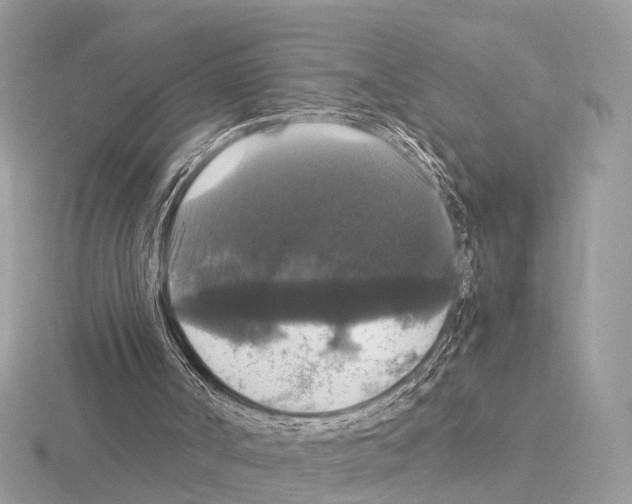 X0000115340002200912141249