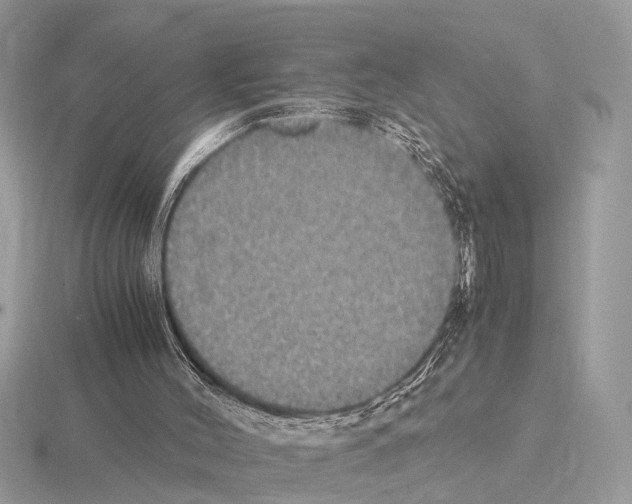 X0000115340004200912141249