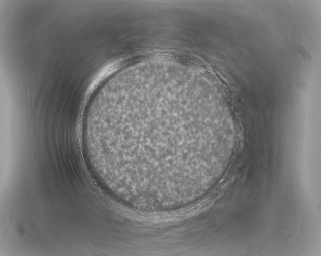 X0000115340006200912141249