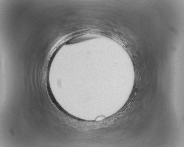 X0000115340007200912141249