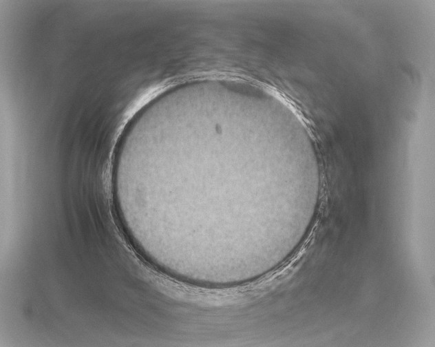 X0000115340008200912141249