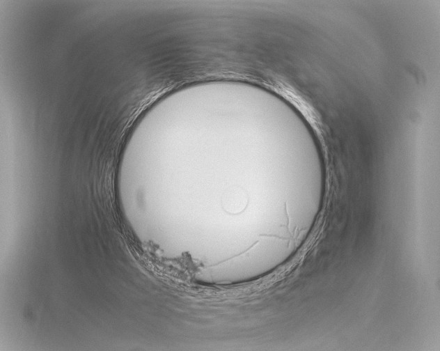 X0000115340009200912141249