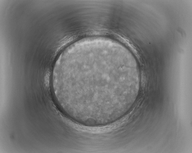 X0000115340010200912141249