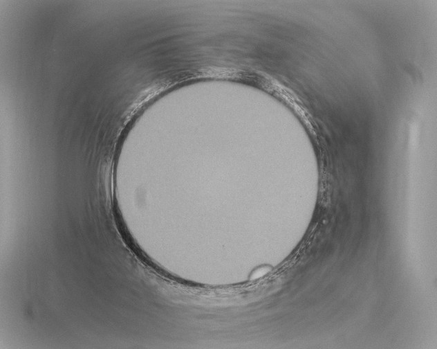 X0000115340011200912141249