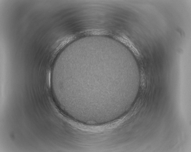 X0000115340014200912141249