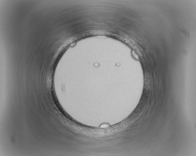 X0000115340015200912141249