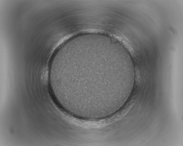 X0000115340016200912141249