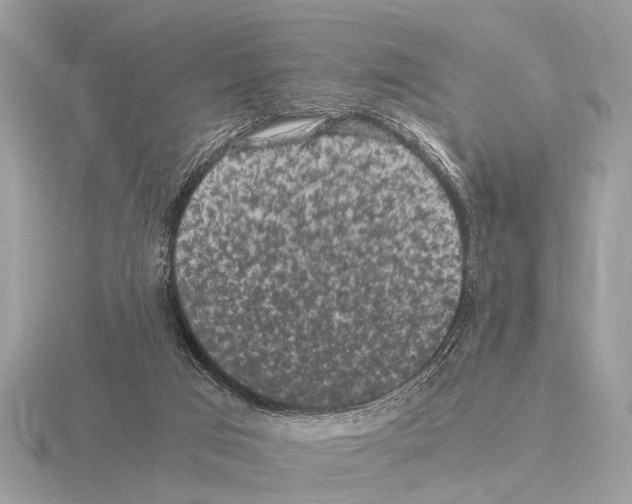 X0000115340017200912141249