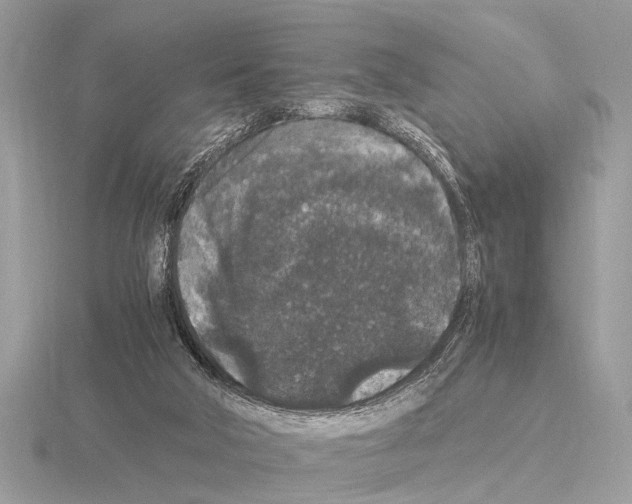 X0000115340018200912141249